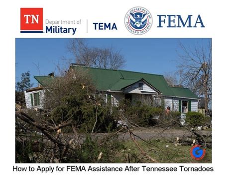 fema backlight|FA.